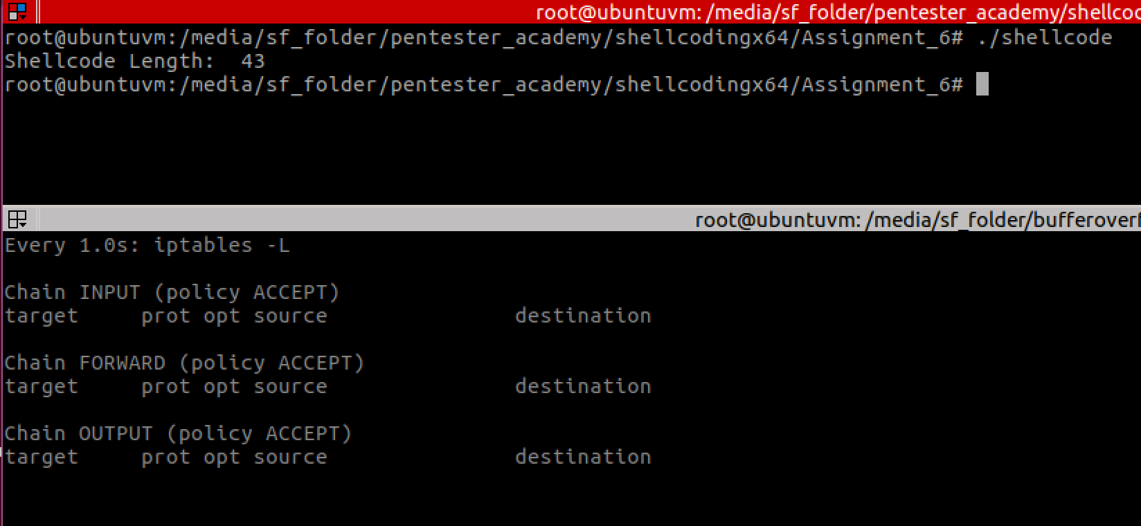 Polymorphic and smaller versions of three shell-storm’s x64 shellcodes, including the smallest execve /bin/sh